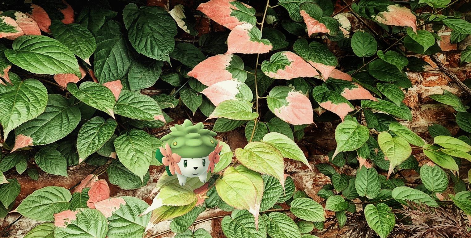 Will Pokémon GO be available in VR?